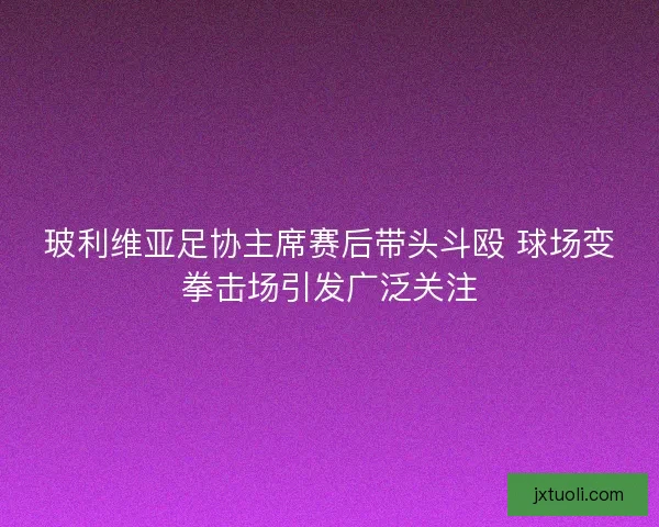 玻利维亚足协主席赛后带头斗殴 球场变拳击场引发广泛关注